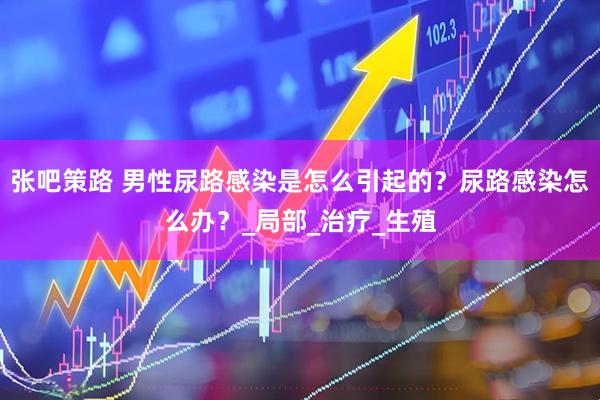 张吧策路 男性尿路感染是怎么引起的？尿路感染怎么办？_局部_治疗_生殖